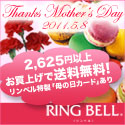 ���蕨�̃R���V�F���W���@�����x���@��̓����W