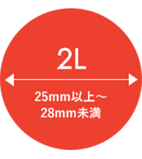 2L 25mm以上〜