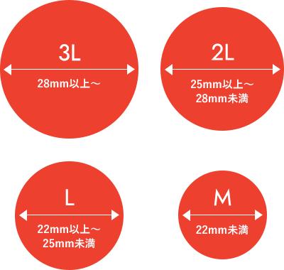 3L 28mm以上〜　2L 25mm以上〜　L 22mm以上〜25mm未満　M 22mm未満