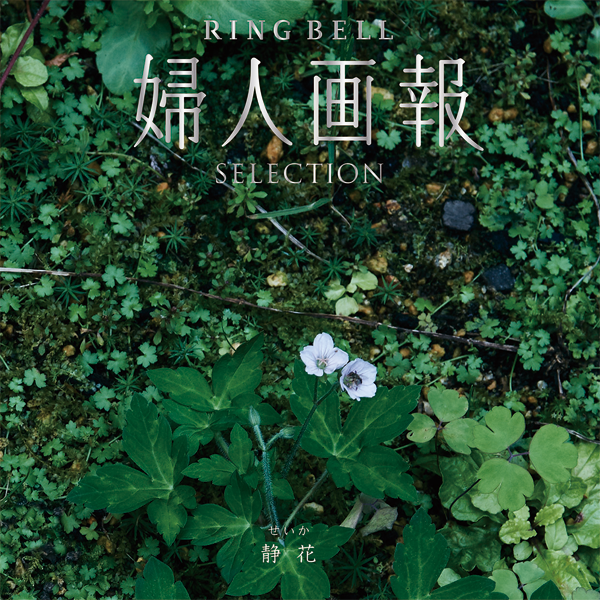 静花（せいか）