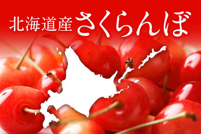 北海道山形県産さくらんぼ