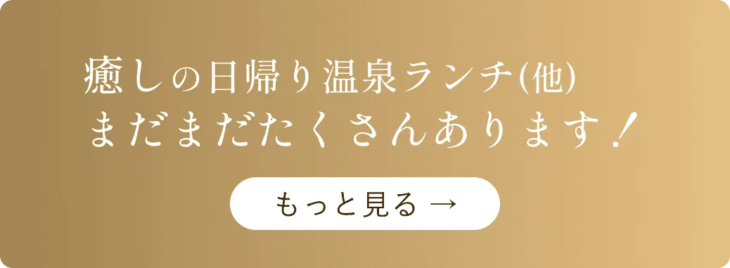癒しの日帰り温泉ランチ(他) まだまだたくさんあります！ もっと見る