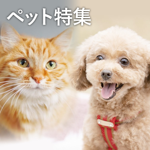 ペット特集