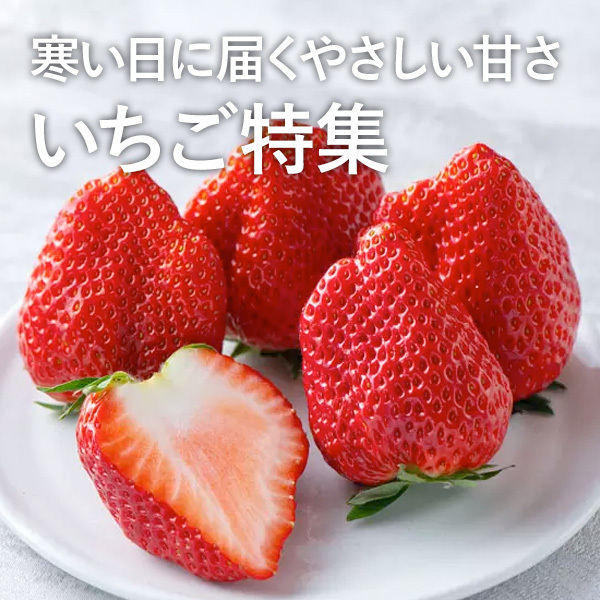 寒い日に届くやさしい甘さ いちご特集