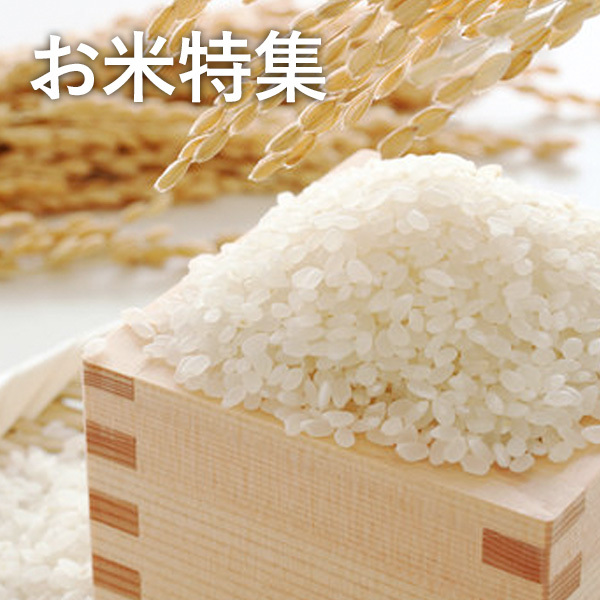 お米特集