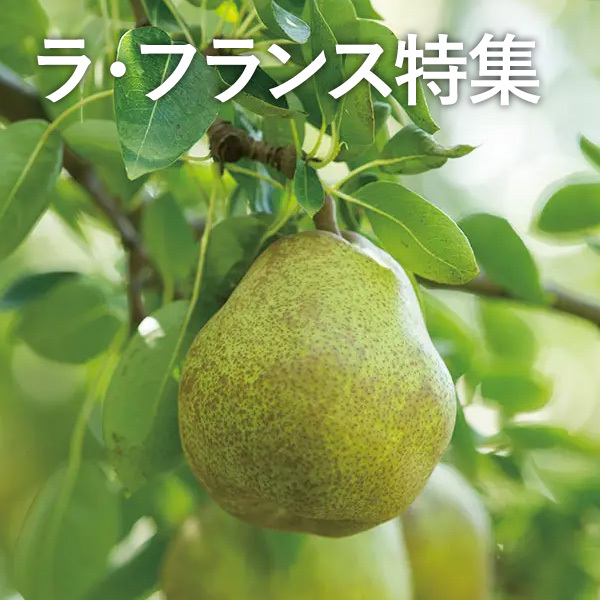 ラ・フランス特集