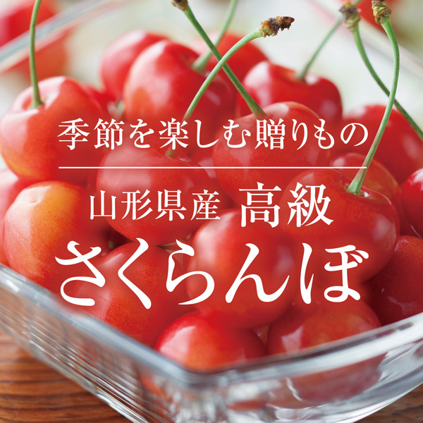 季節を楽しむ贈りもの 山形県産 高級 さくらんぼ