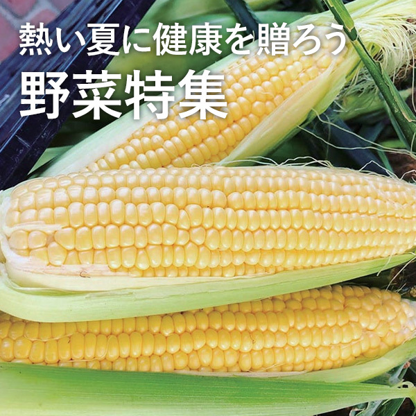 熱い夏に健康を贈ろう 野菜特集