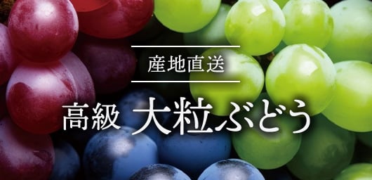 産地直送 グルメ カタログギフト 七つ星ギフト 高級大粒ぶどう