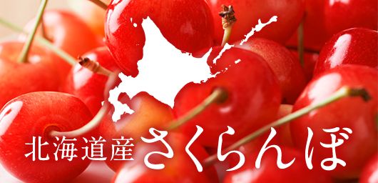 北海道産 さくらんぼ