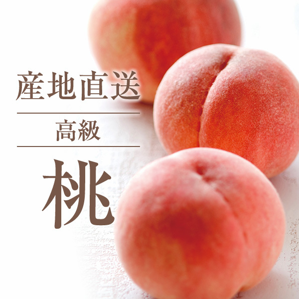 産地直送 高級 桃