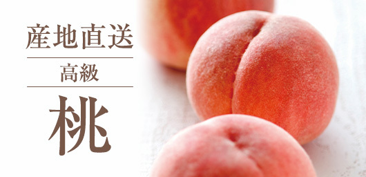 産地直送 高級 桃