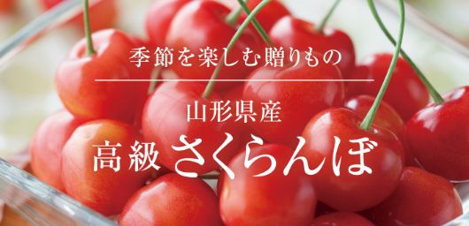 季節を楽しむ贈り物 山形県産 高級 さくらんぼ