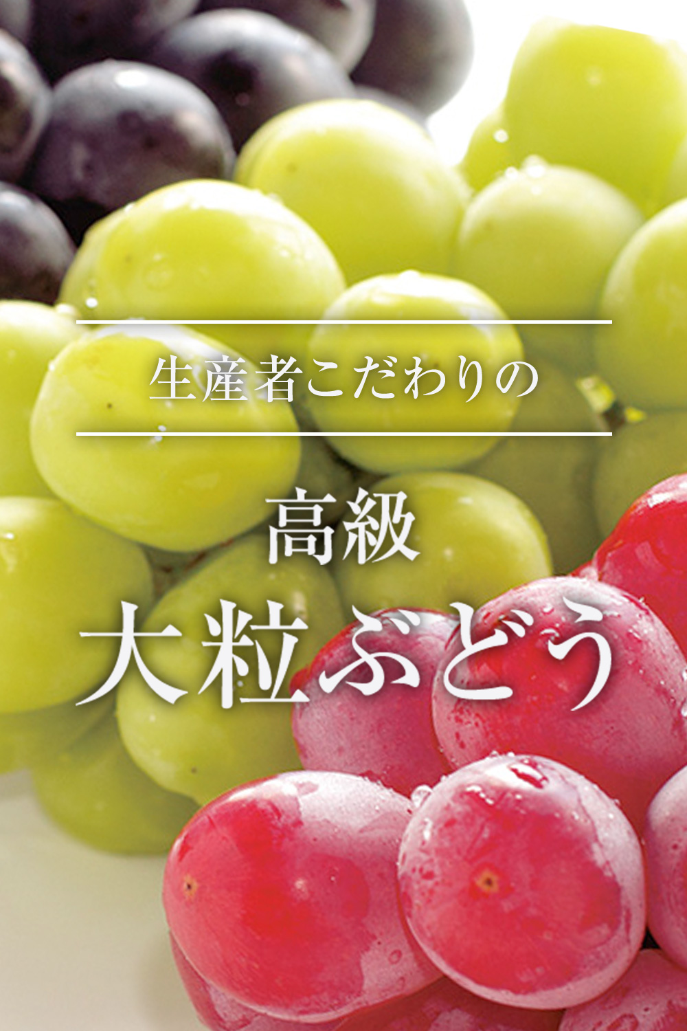 値下げ中！BABYS-G(定価の半額以下！)