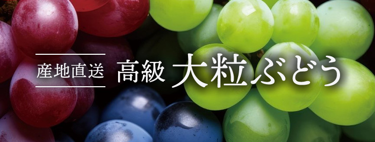 生産者こだわりの高級大粒ぶどう