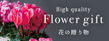 High quality Flower gift 花の贈り物