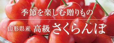 山形県産 高級さくらんぼ