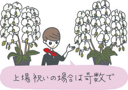 イラスト：2本立ちと3本立ちの鉢植え胡蝶蘭。3本立ちの方を指しながら「上場祝いの場合は奇数で」と解説するギフトコンシェルジュ。