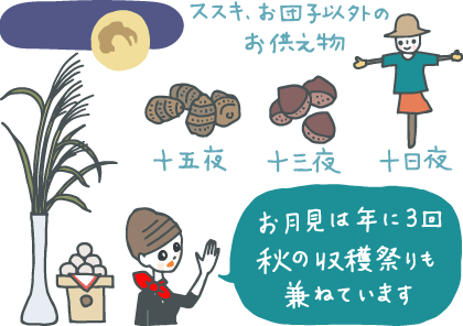 イラスト：ススキ、お団子以外のお供え物「十五夜：里芋」「十三夜：栗」「十日夜：かかし」を指さして「お月見は年に3回。秋の収穫祭りも兼ねています」と説明するコンシェルジュ