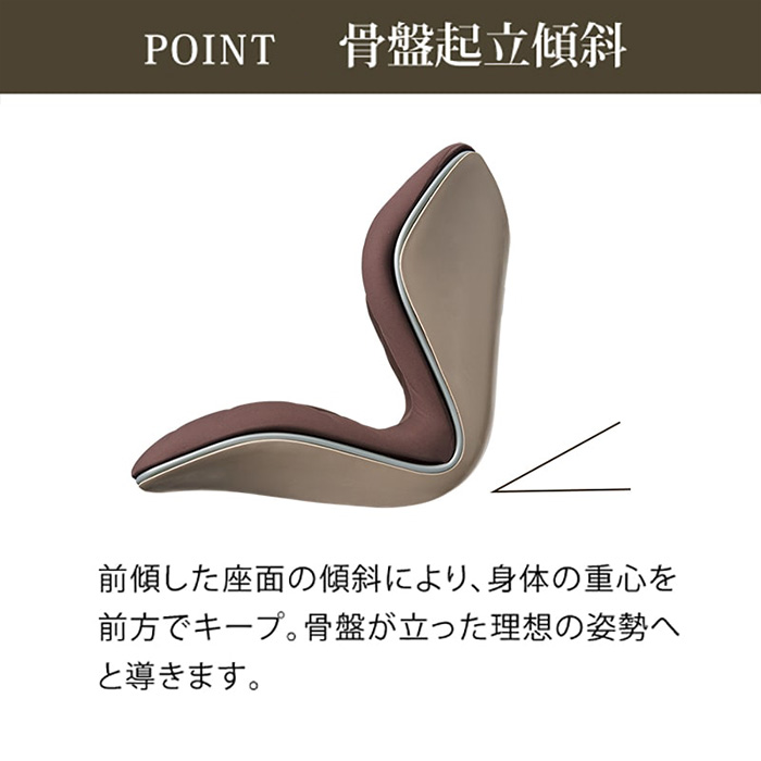 Ｓｔｙｌｅ　スタイルプレミアム　ブラウン