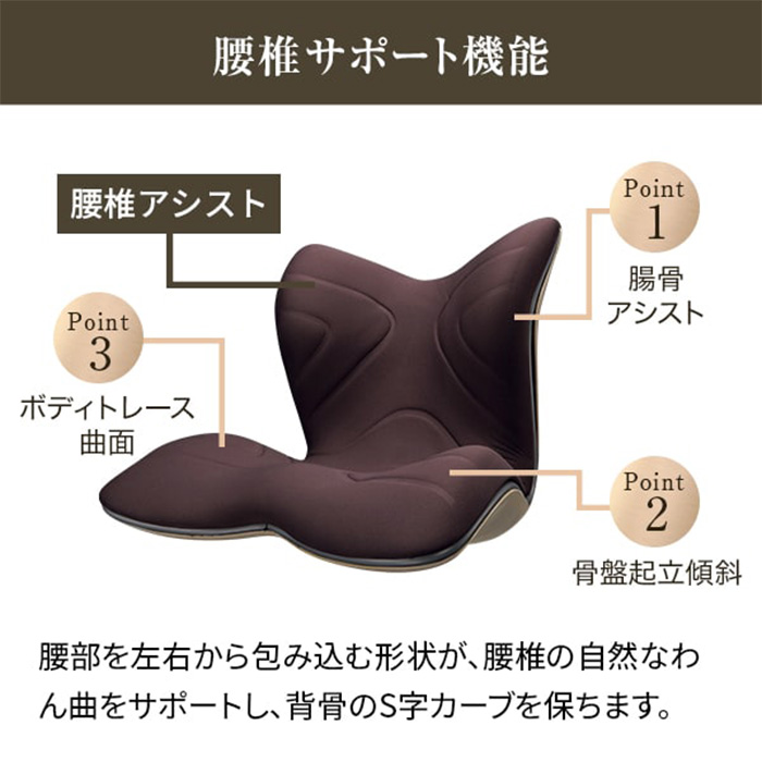 Ｓｔｙｌｅ　スタイルプレミアム　ブラウン