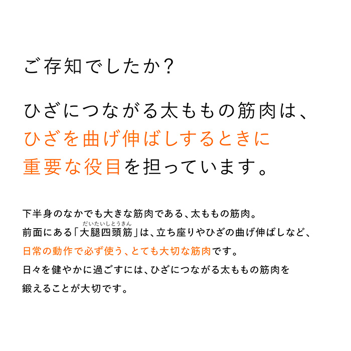 シックスパッド　ニーフィットＬセット