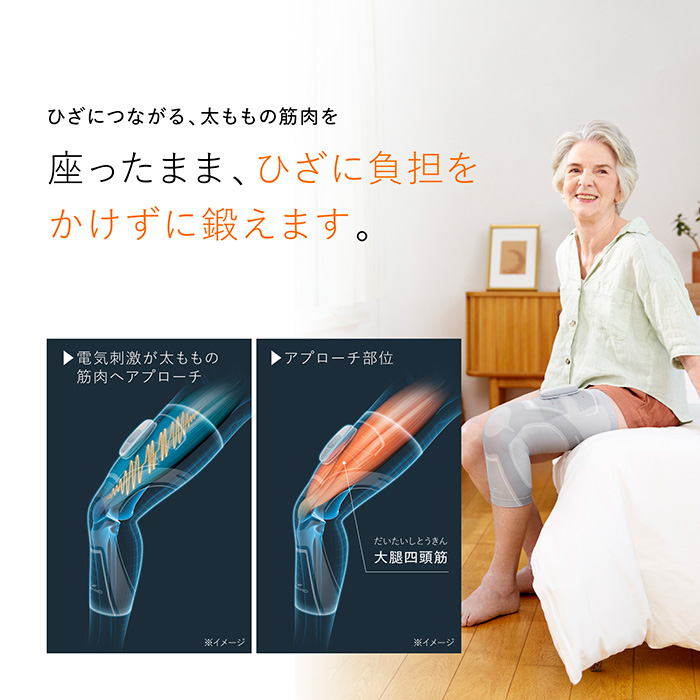 鍛えづらいインナーマッスルまで深くアプローチ。初の腰専用