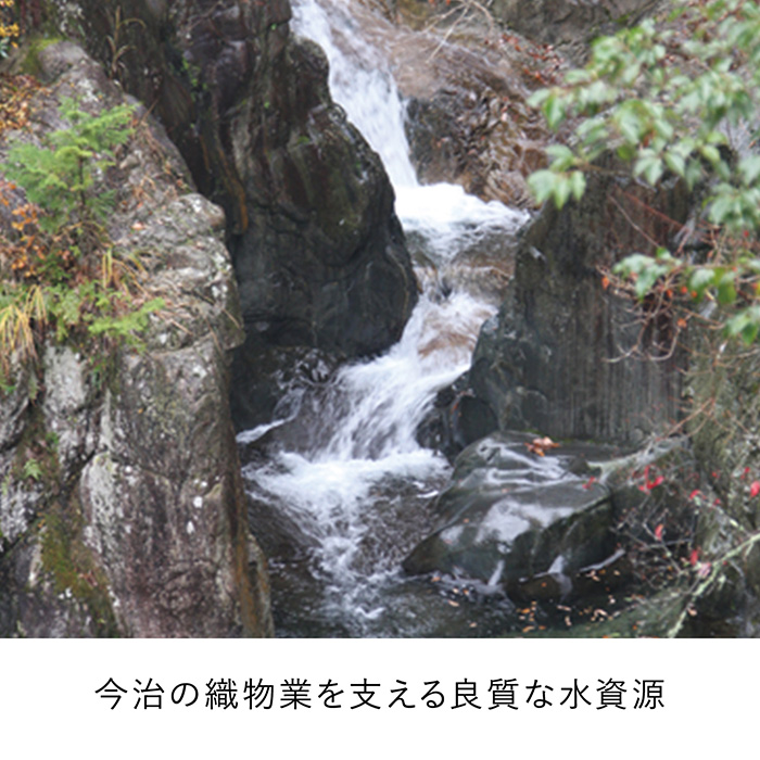 今治謹製　ご褒美タオル　タオルセットＤ