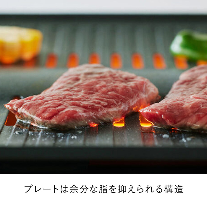 アラジン] グラファイトミニグリラー｜カタログギフトのリンベル
