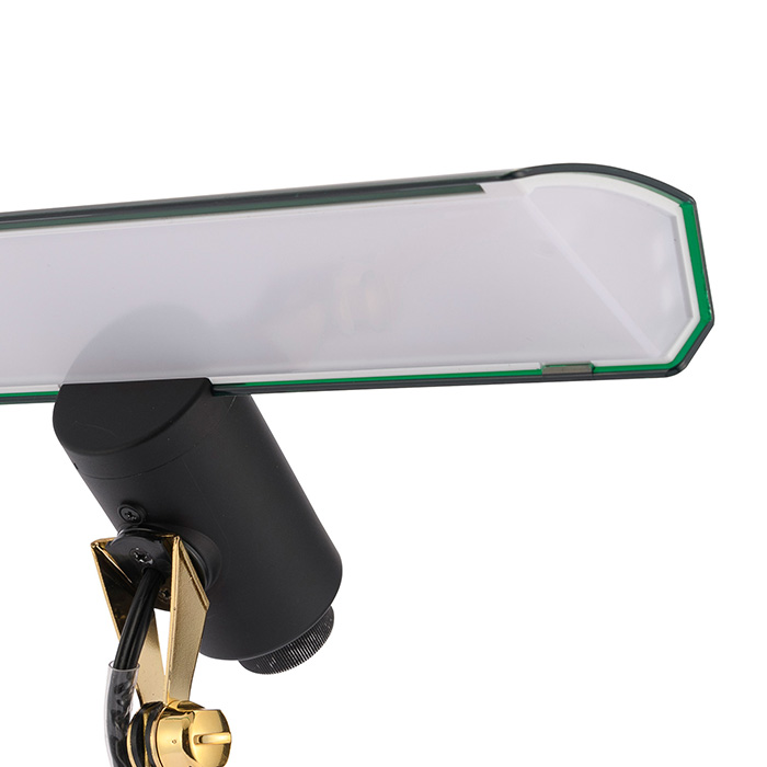 　【長寿祝いオリジナルサービス付き】スワン電器　デスクライト　ＥＸＡＲＭ　ＮＹ　グリーン