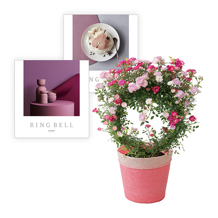 【母の日専用ラッピング】つるバラ２色ＭＩＸ＋リンベルカタログギフト　ヒアデス＆サターンコース