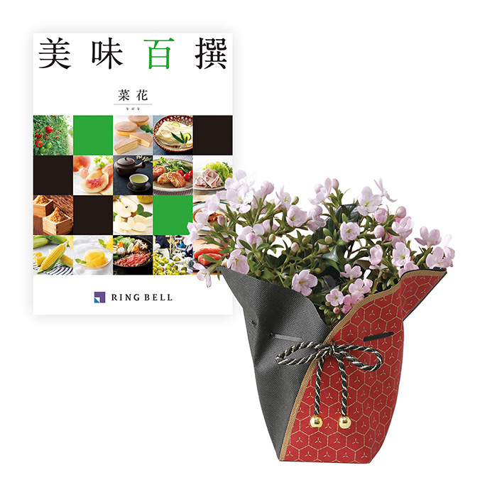 　【敬老の日専用ラッピング】匂い桜＋美味百撰　菜花コース