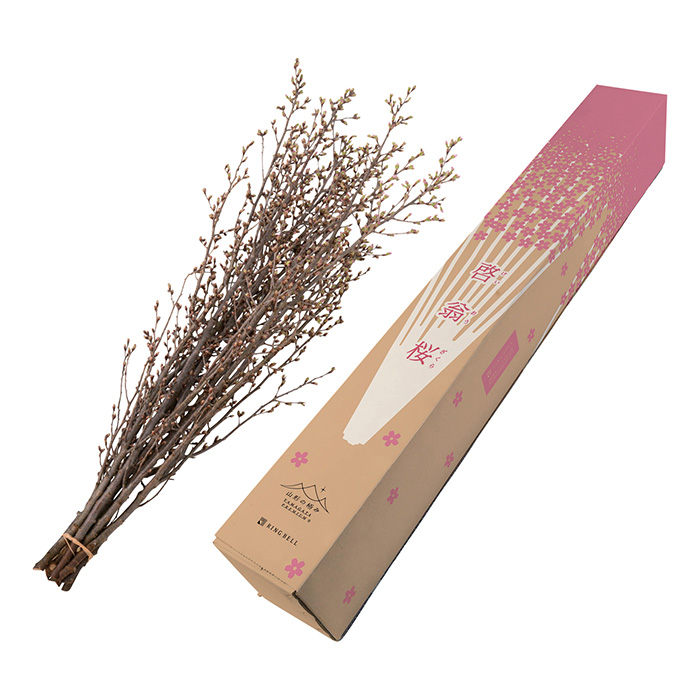 山形の極み 山形県産 啓翁桜(80cm)(お届けは12月26日~12月29日)