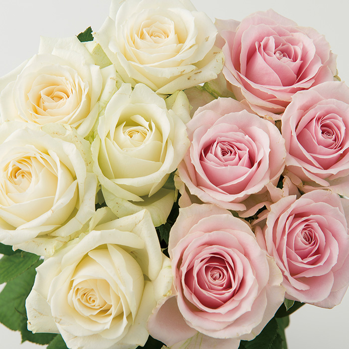 フラワーギフト　山形県　大山バラ園　バラの花束（１２本）ホワイト＋ピンク