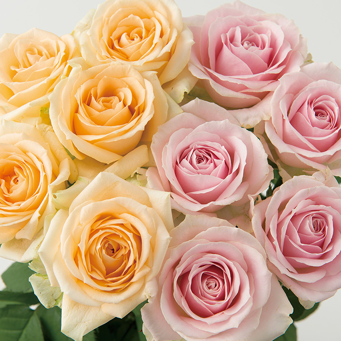 山形県 大山バラ園 バラの花束（２０本）ピンク＋アプリコット【記念日の花束】
