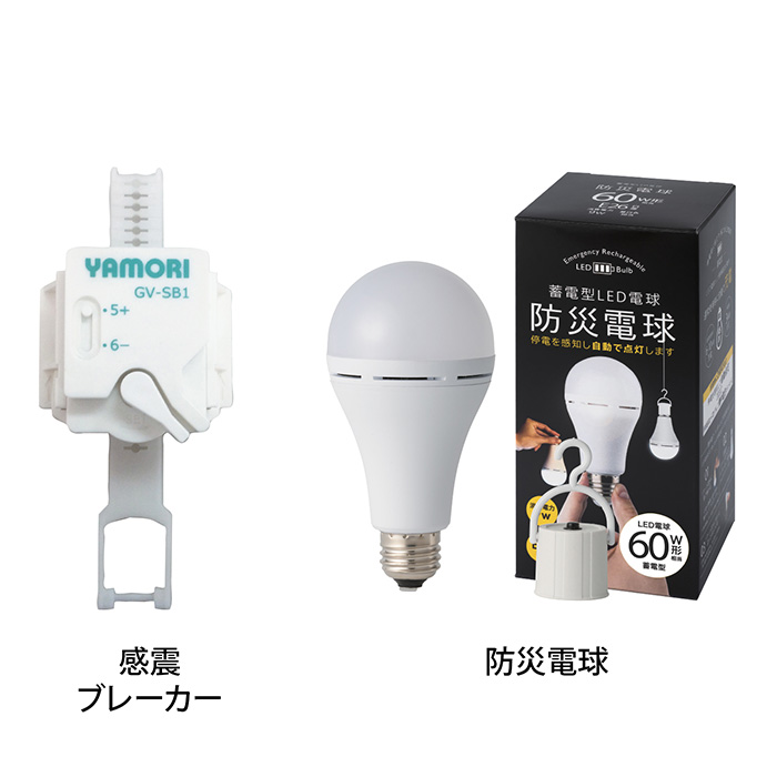 感震ブレーカーセットＤ（＋防災電球）