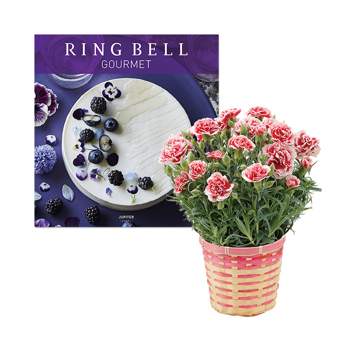 母の日専用ラッピング カーネーション いちごホイップ リンベルグルメカタログギフト ジュピター カタログギフトのリンベル 公式