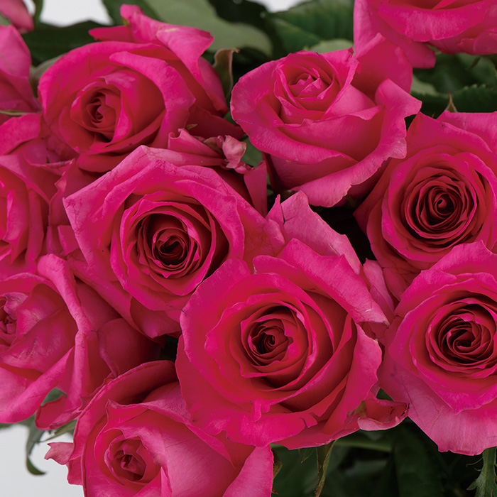 日本の極み バラ花束 ピンク２０本セット カタログギフトのリンベル 公式