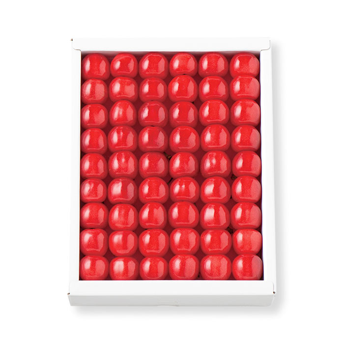 【お試しＰＲＩＣＥ】さくらんぼ佐藤錦 ３００ｇ［化粧詰め］（お届けは４月２０日～４月３０日）