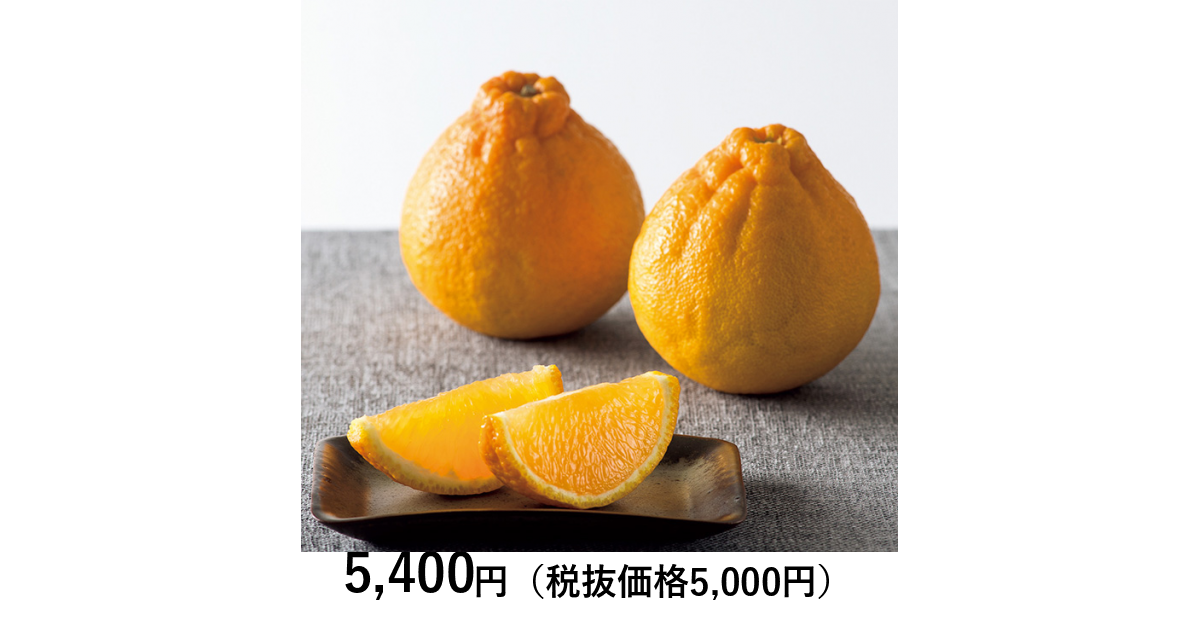 熊本県産！デコポン（肥後ポン）令和6年も大好評販売中！大変