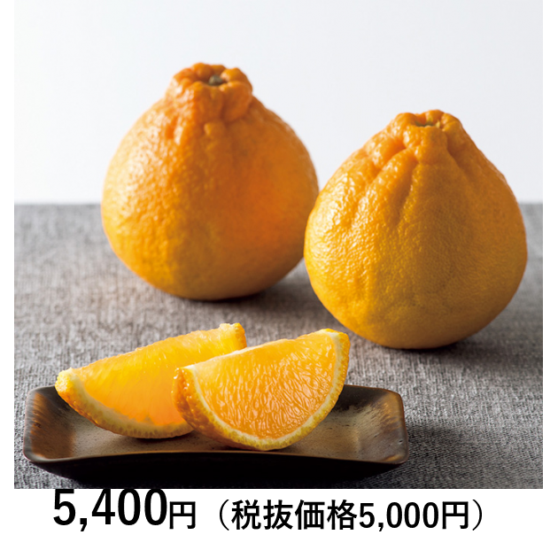 日本の極み] 熊本県 デコポン5個 （お届けは5月5日～5月20日