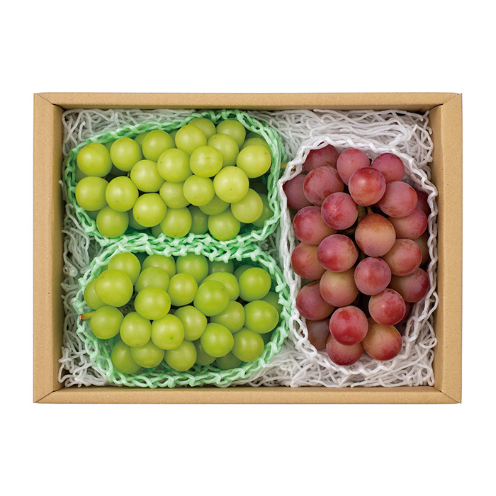 山梨県産　ぶどう2種　食べ比べ 日本の極み] 山梨県産 ぶどう2種詰合せ（お届けは9月10日～10月