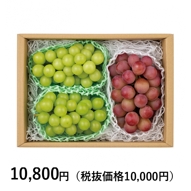 日本の極み] 山梨県産 ぶどう2種詰合せ（お届けは9月10日～10月