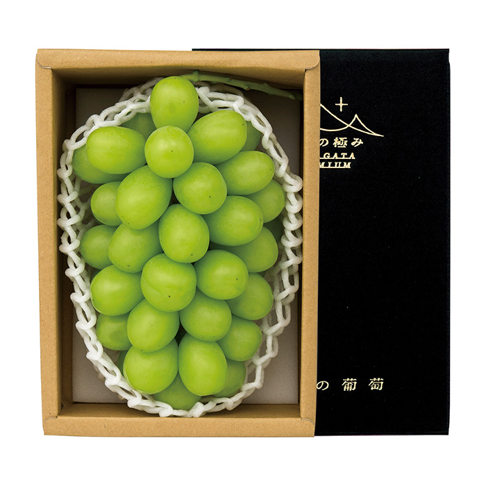 【お試しPRICE】高畠町産 シャインマスカット A(お届けは9月20日~9月30日)【限定200品】 【お試しPRICE】高畠町産 シャインマスカット A(お届けは9月20日~9月30日)【限定200品】