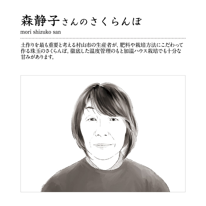 山形の極み　佐藤錦５００ｇ［木箱詰］（お届けは５月１５日～５月３１日）