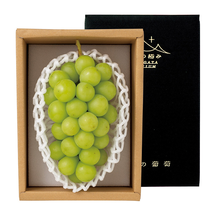 【敬老の日カードなし】高畠町産 シャインマスカットＡ（お届けは９月１０日～９月２５日）