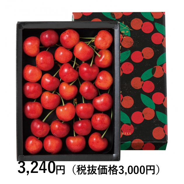 私立 医学部 15冊 セット【24H以内発送】[バラ売り可] 山形の極み] 佐藤錦 300g［バラ詰］（お届けは6月10日～6月