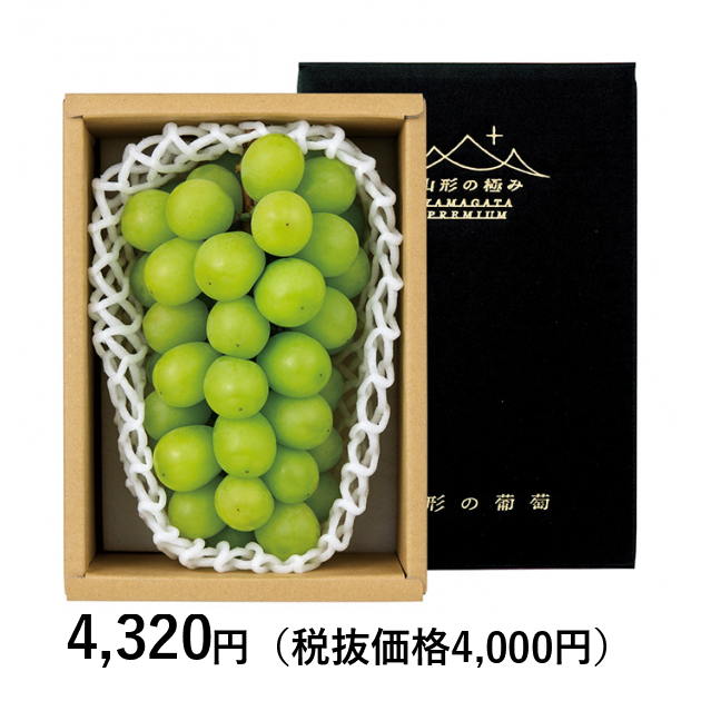 17K8-B02_og_2.png