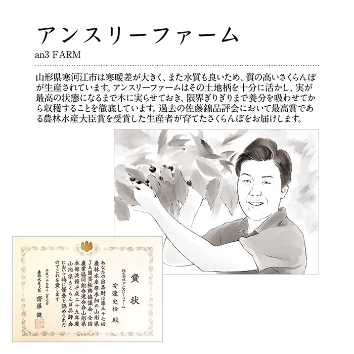 山形の極み　佐藤錦　５００ｇ［バラ詰］（お届けは６月１０日～６月３０日）
