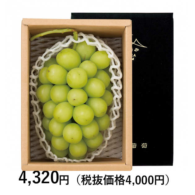 マスカット徳用 ☆タイムセール☆お徳用岡山県産シャインマスカット約1.2kg（2